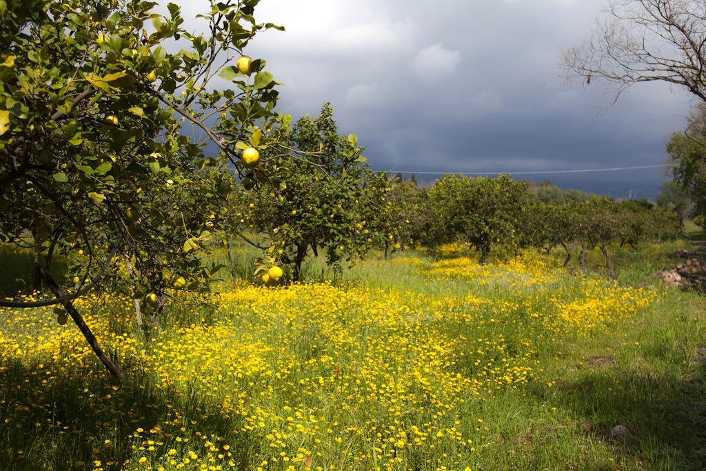 Il Melograno Villa San Leonardello ภายนอก รูปภาพ