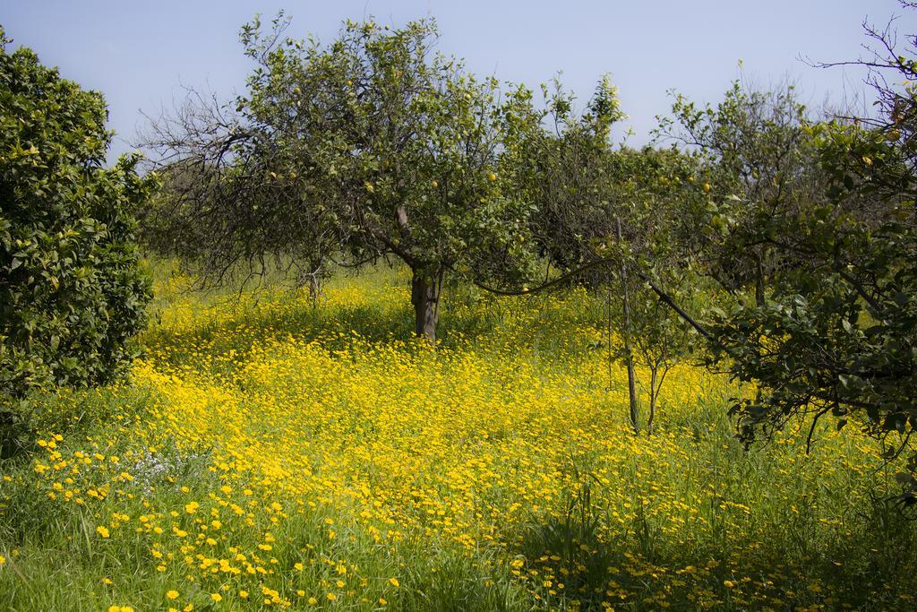 Il Melograno Villa San Leonardello ภายนอก รูปภาพ
